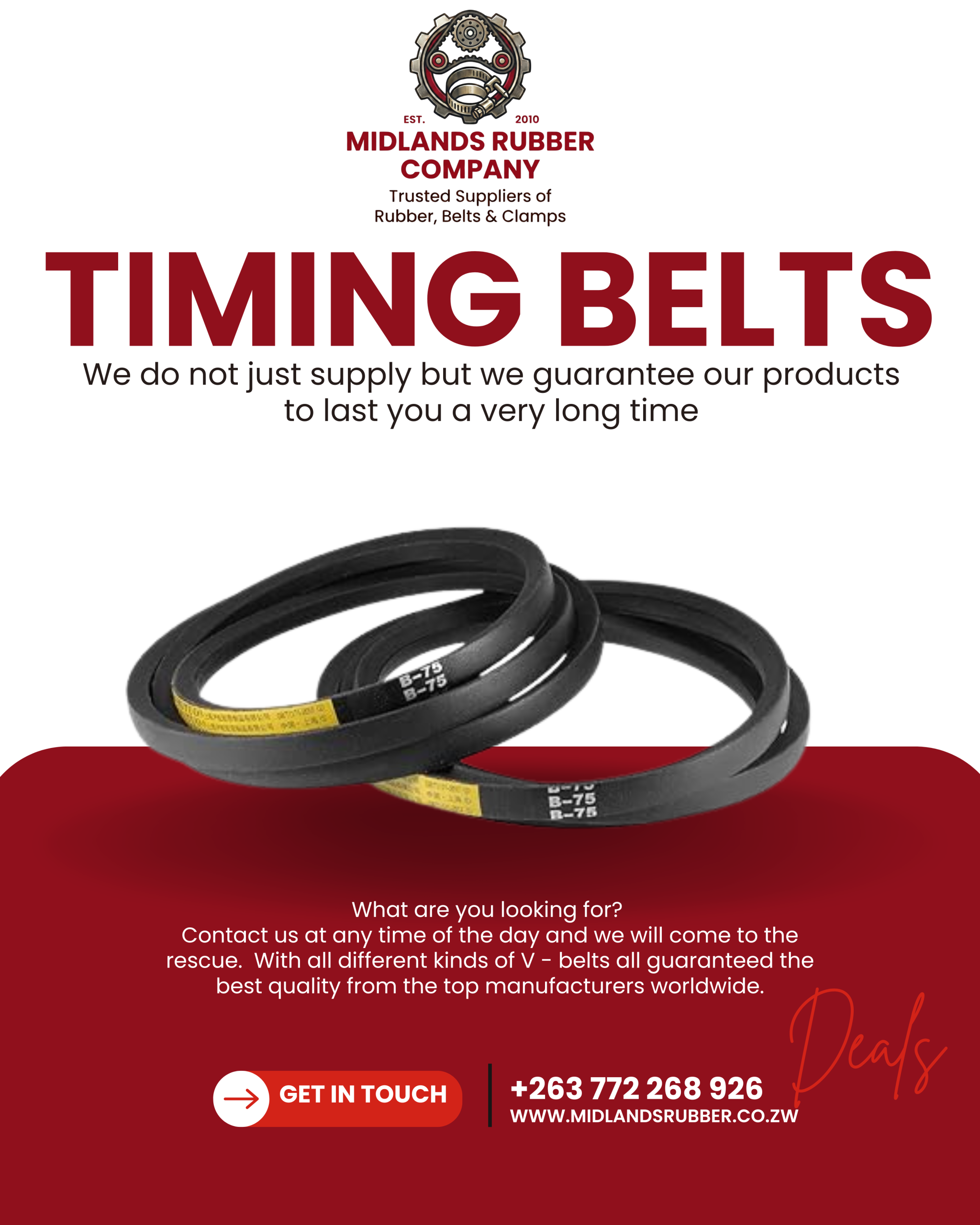 timing belts ad (1)